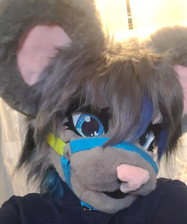 Mousie - Traditional Mousie - Traditional